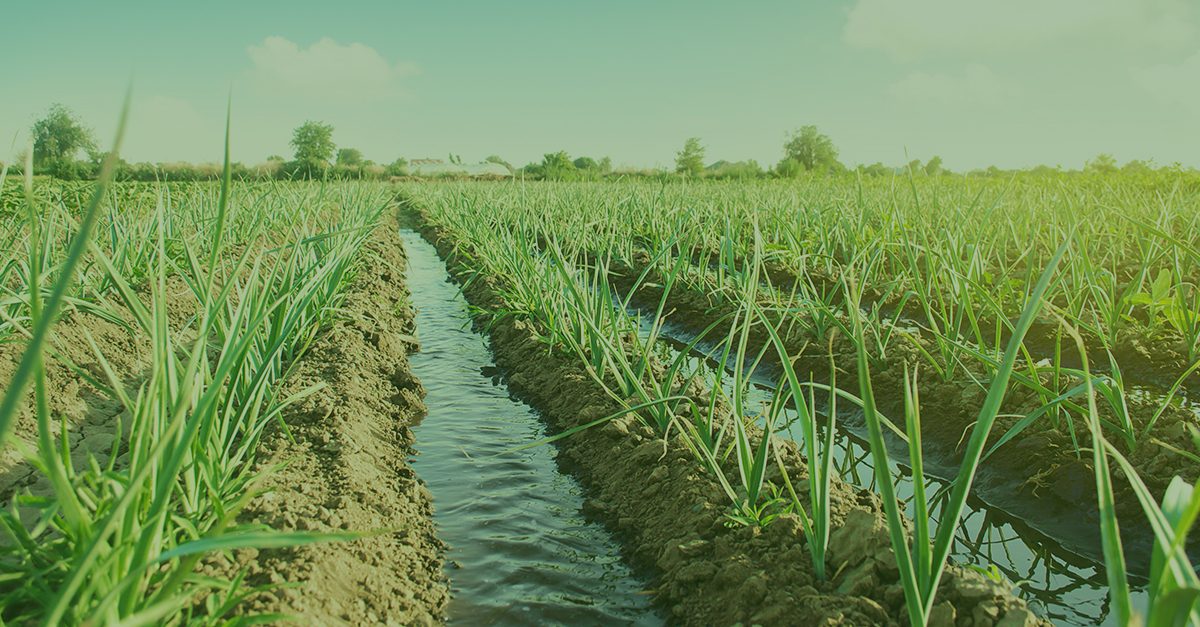 The Importance of Water to Agriculture Newton